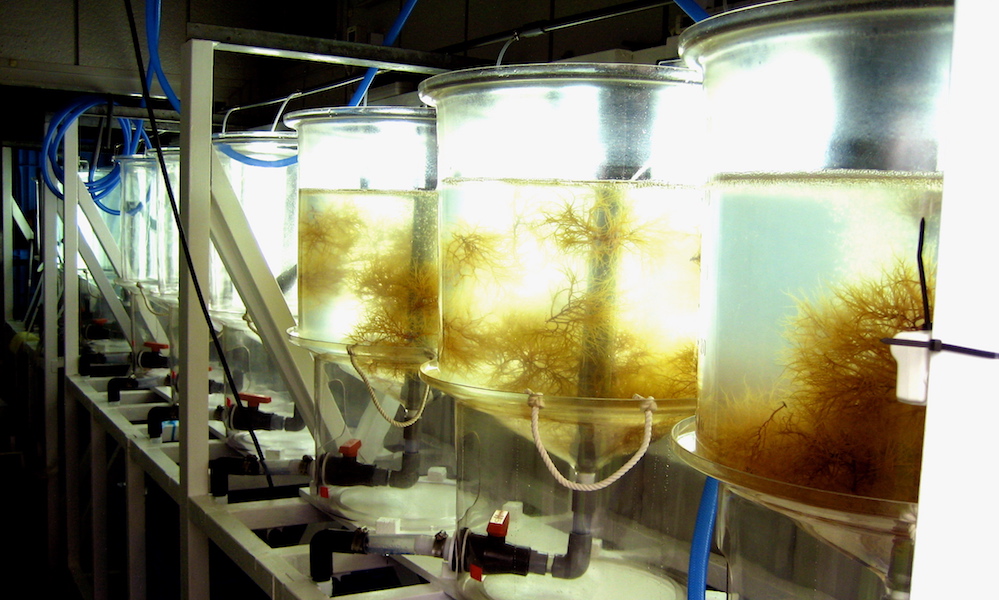 バイオリアクタ設備の写真